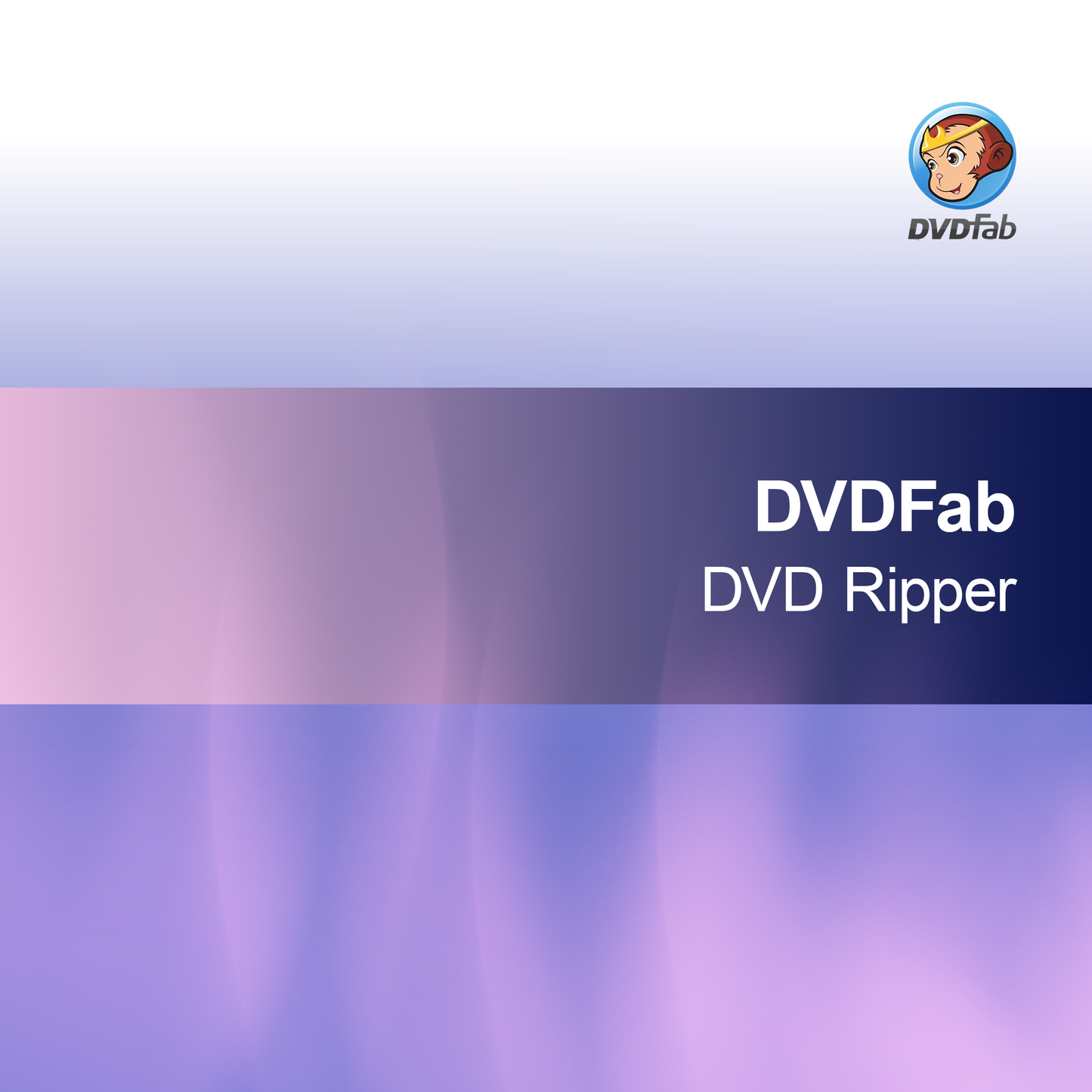 DVDFab Zgrywarka DVD