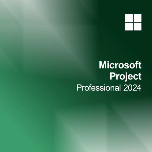 Microsoft Project Professional 2024